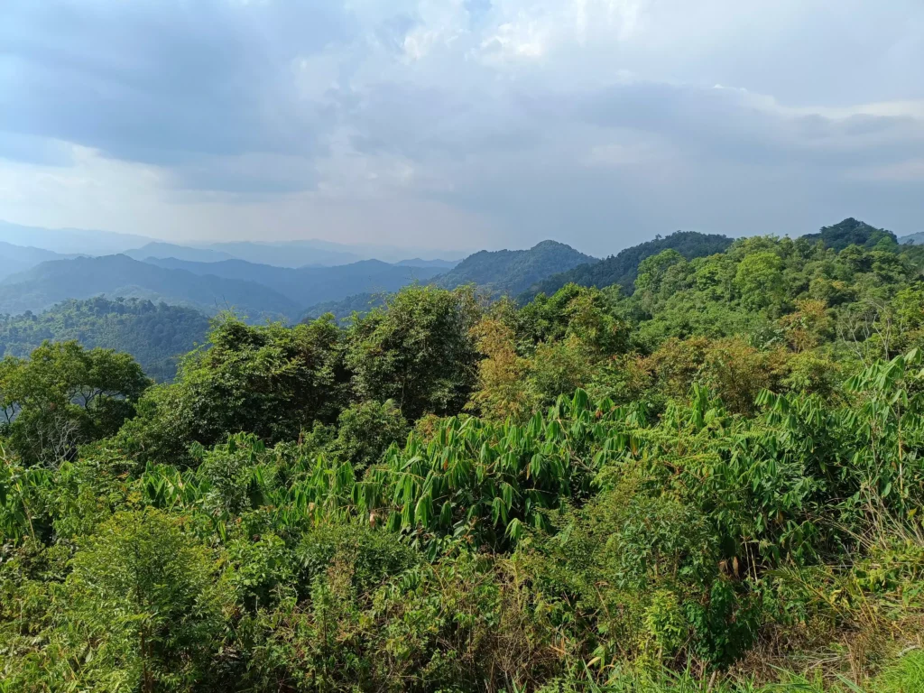 Parc National Kaeng Krachan