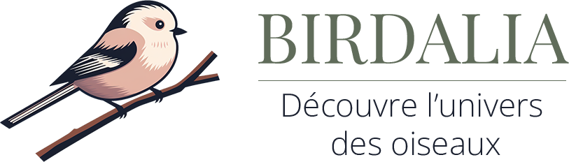 Logo Texte Birdalia