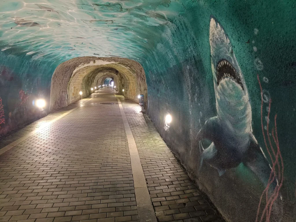 Tunnel de Laredo