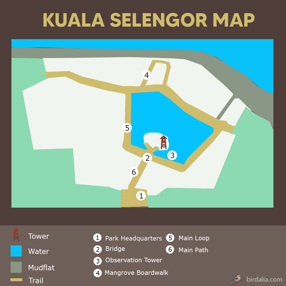 Kuala Selengor Map