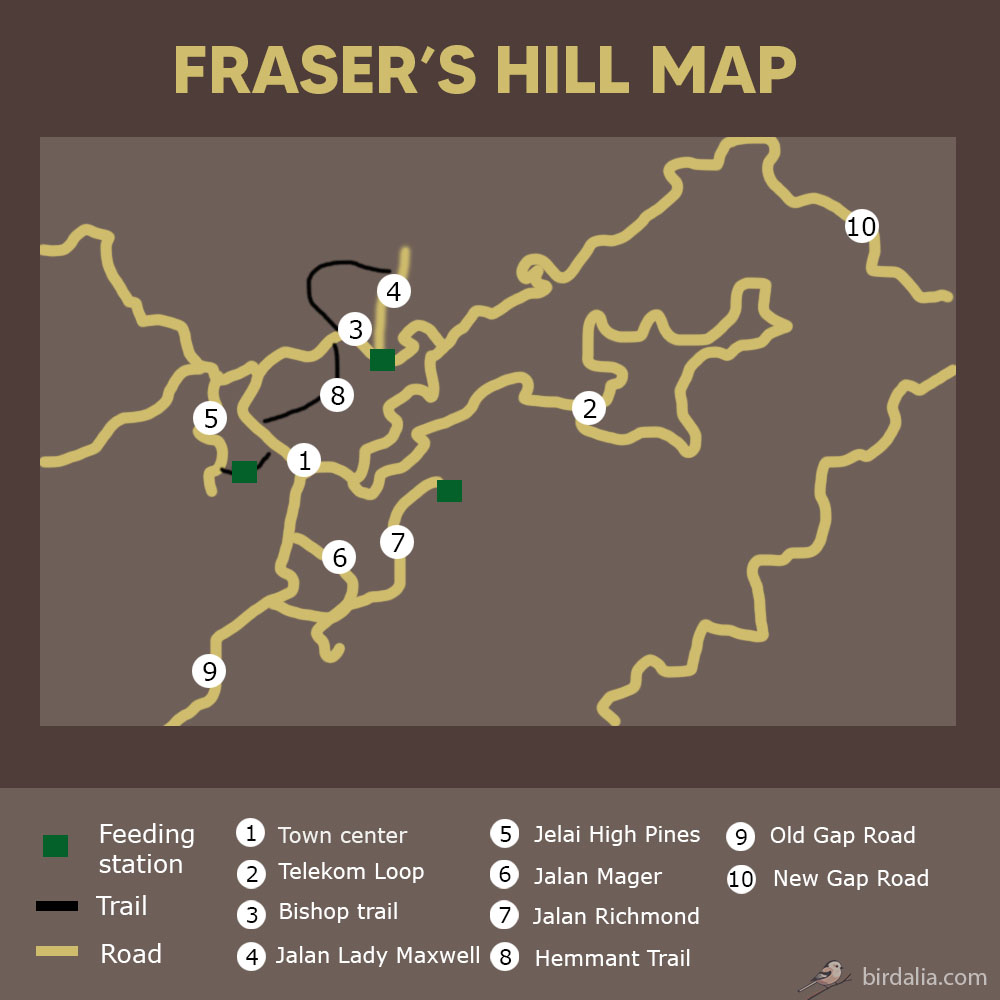 Fraser's Hill Map