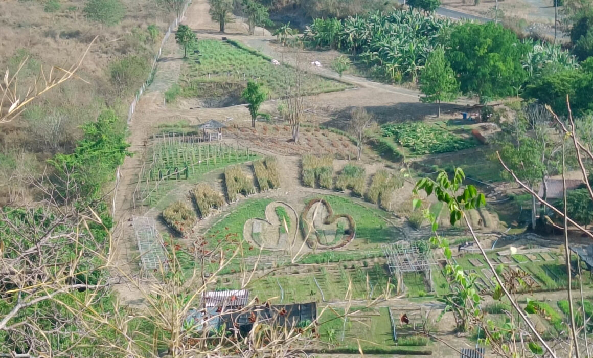Vue colline de Baan Maka