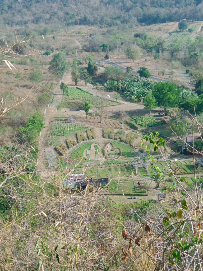 Vue colline de Baan Maka