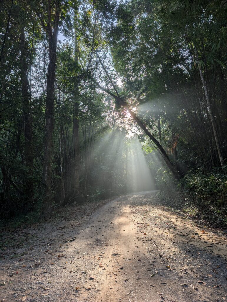 Route principale Sri Phang Nga
