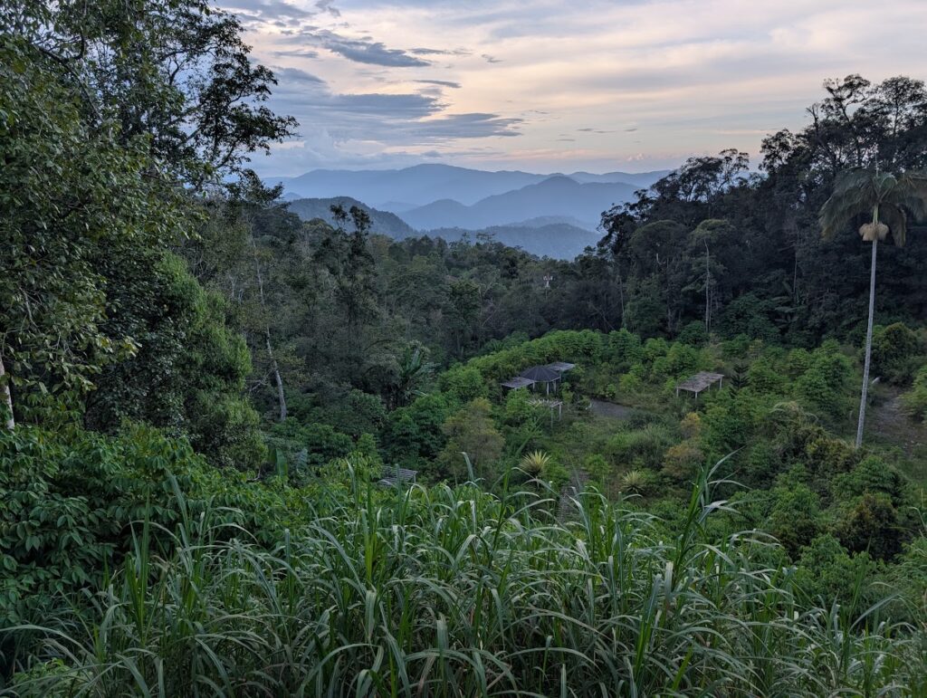 Vue de Fraser's Hill