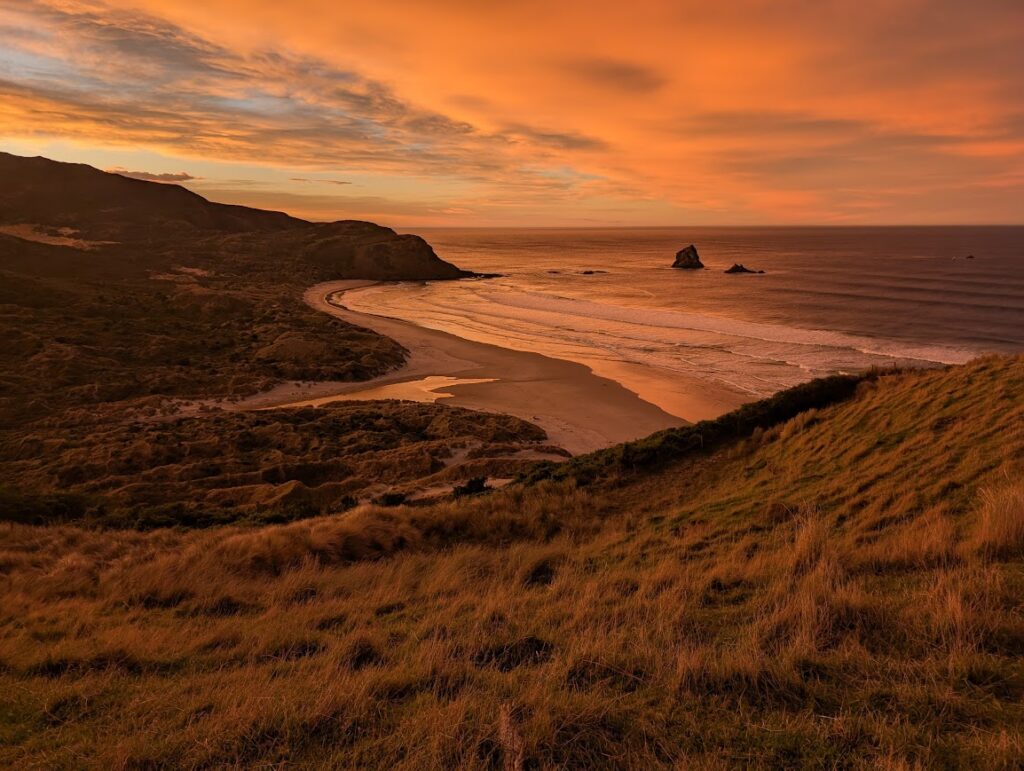 Plage péninsule d'Otago