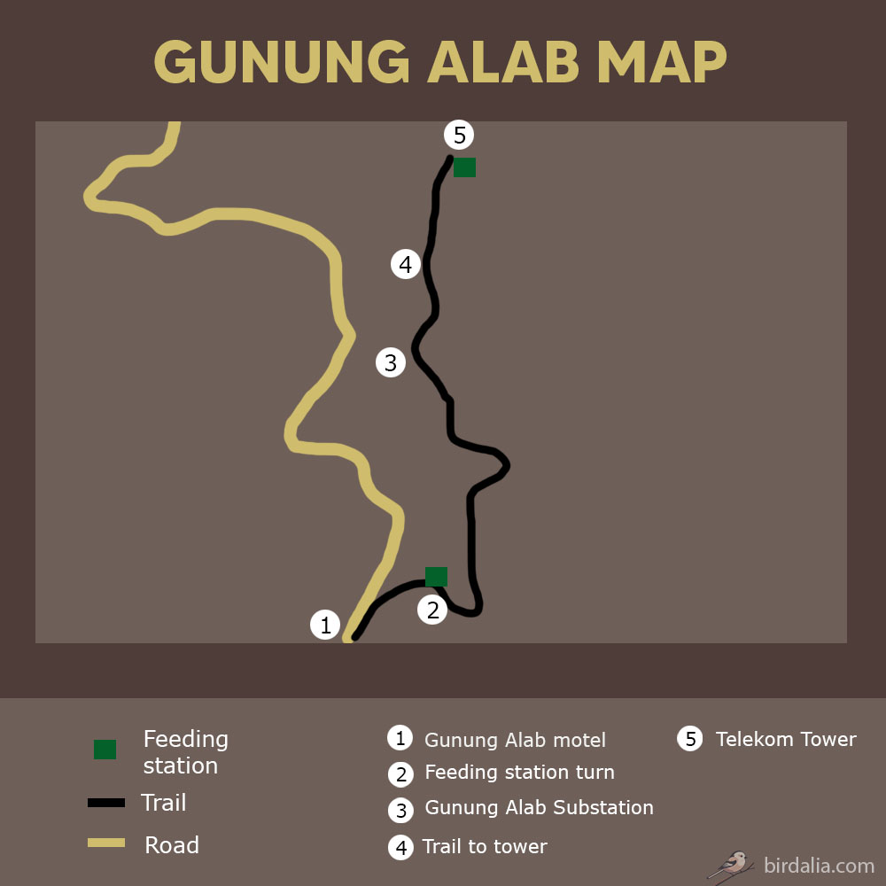 Gunung Alab Map