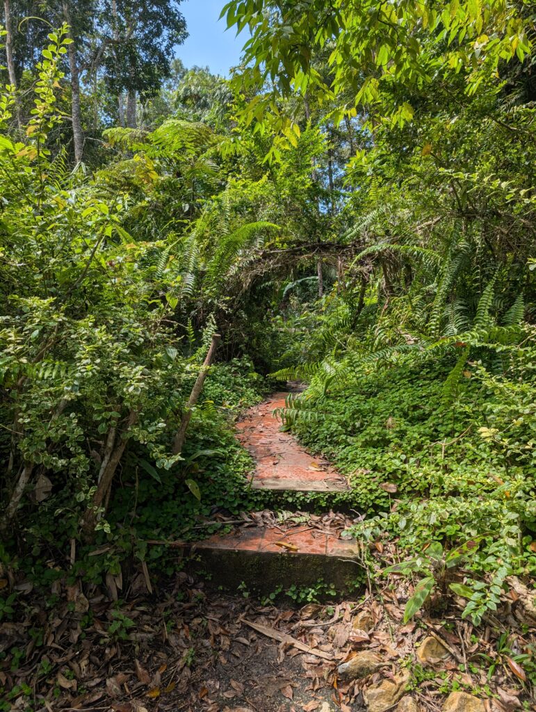 Chemin vers l'affût de Bukit Tinggi