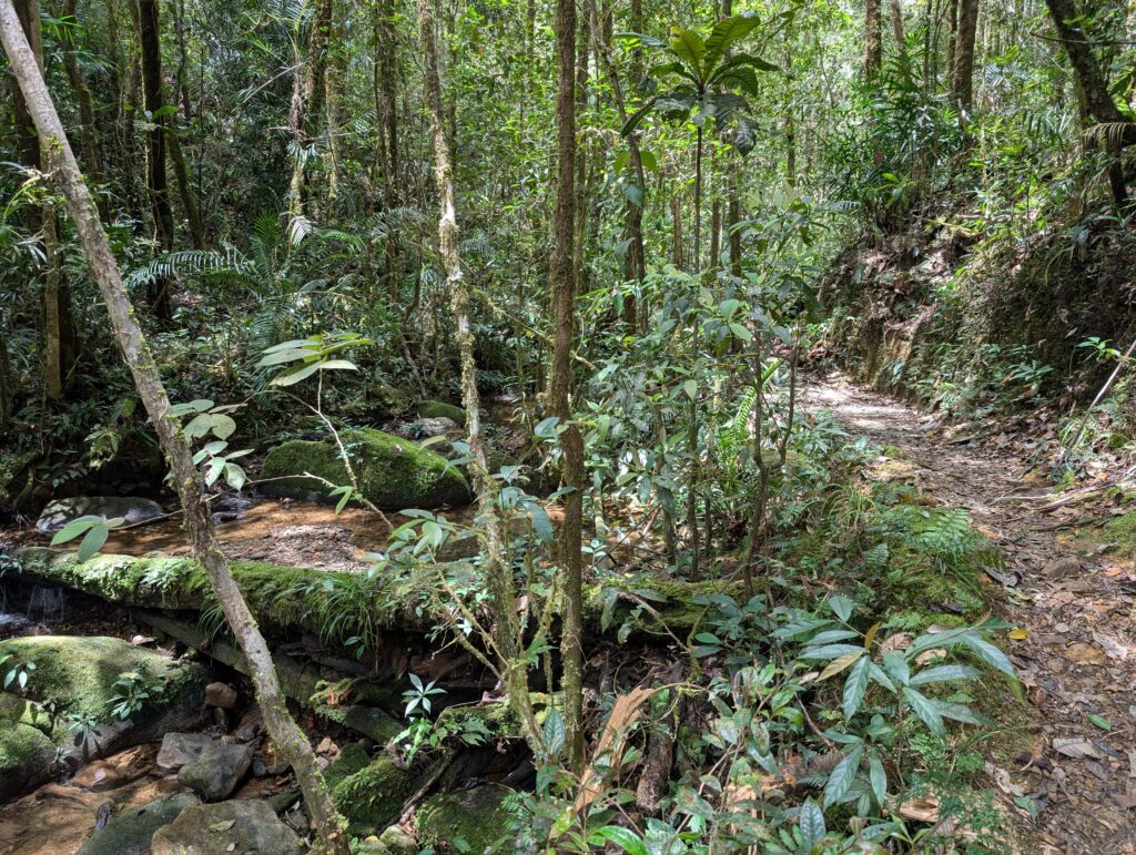 Silau Silau Trail
