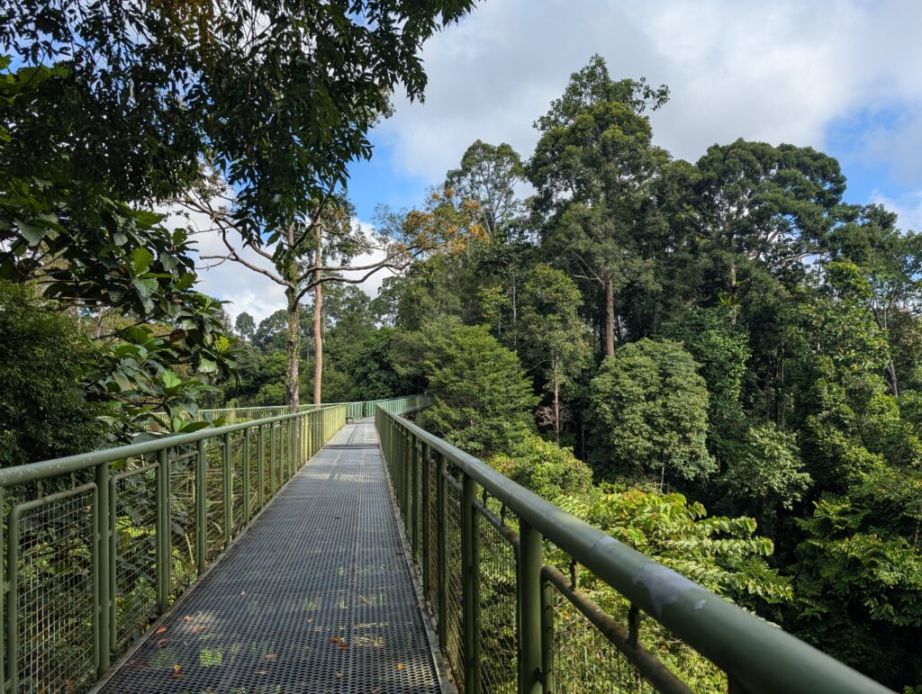 Canopy Walk RDC