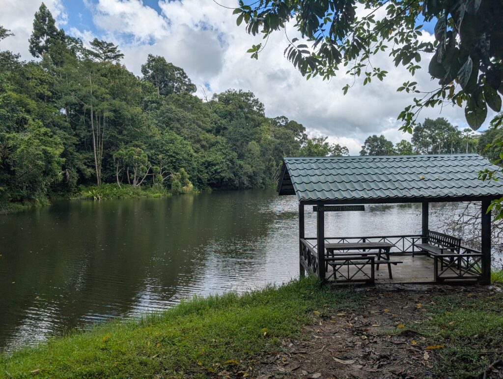 Lake Rainforest Discovery Center