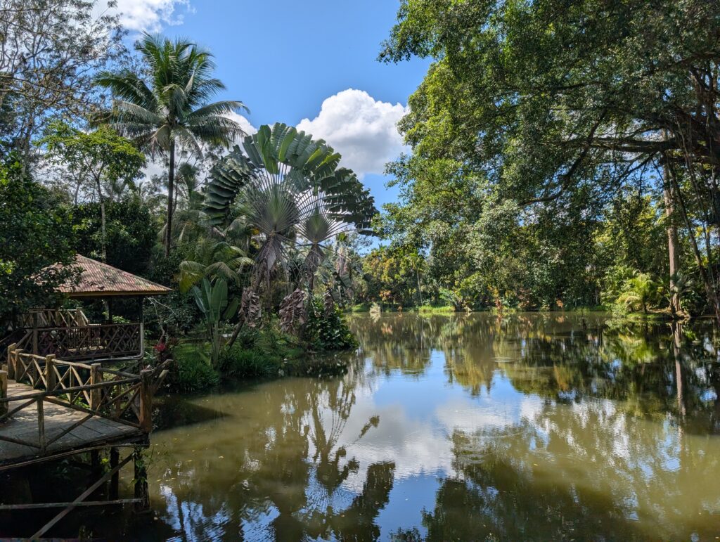 Sepilok Jungle Resort