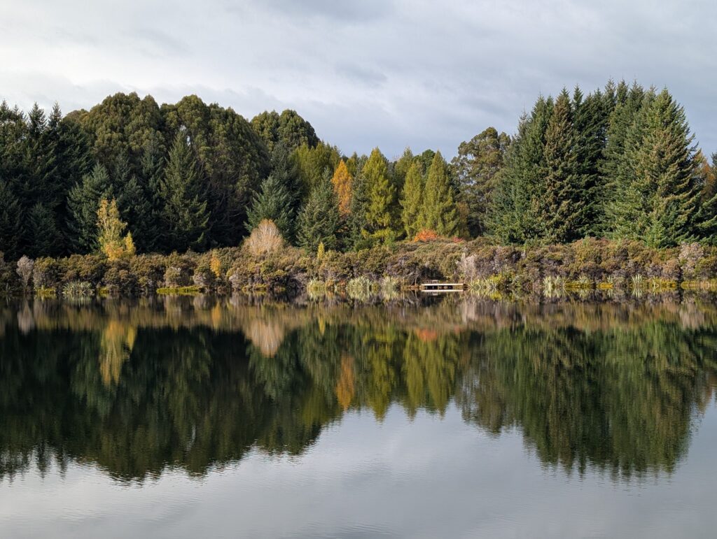 Lake Henry - Te Anau
