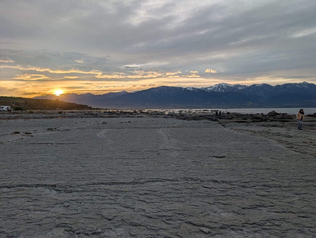 Point Kean Viewpoint