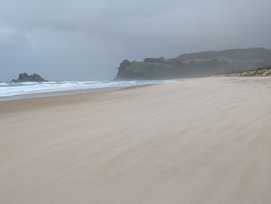 Wharekawa Harbour Sandspit Reserve