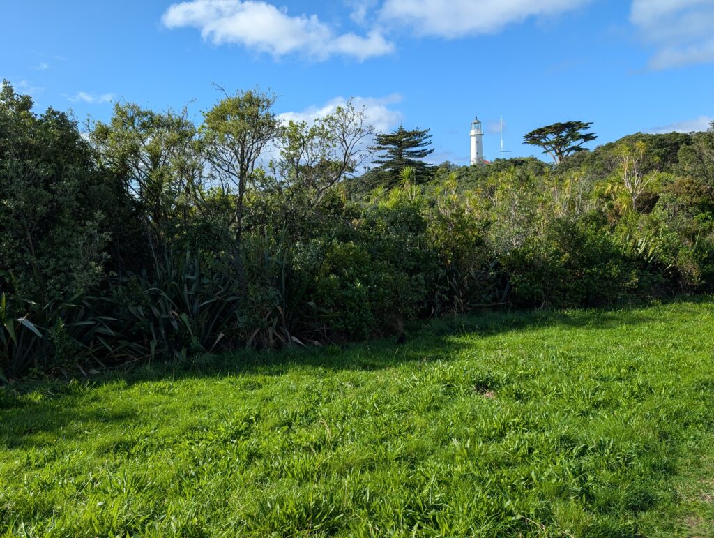 Tiritiri Matangi Island