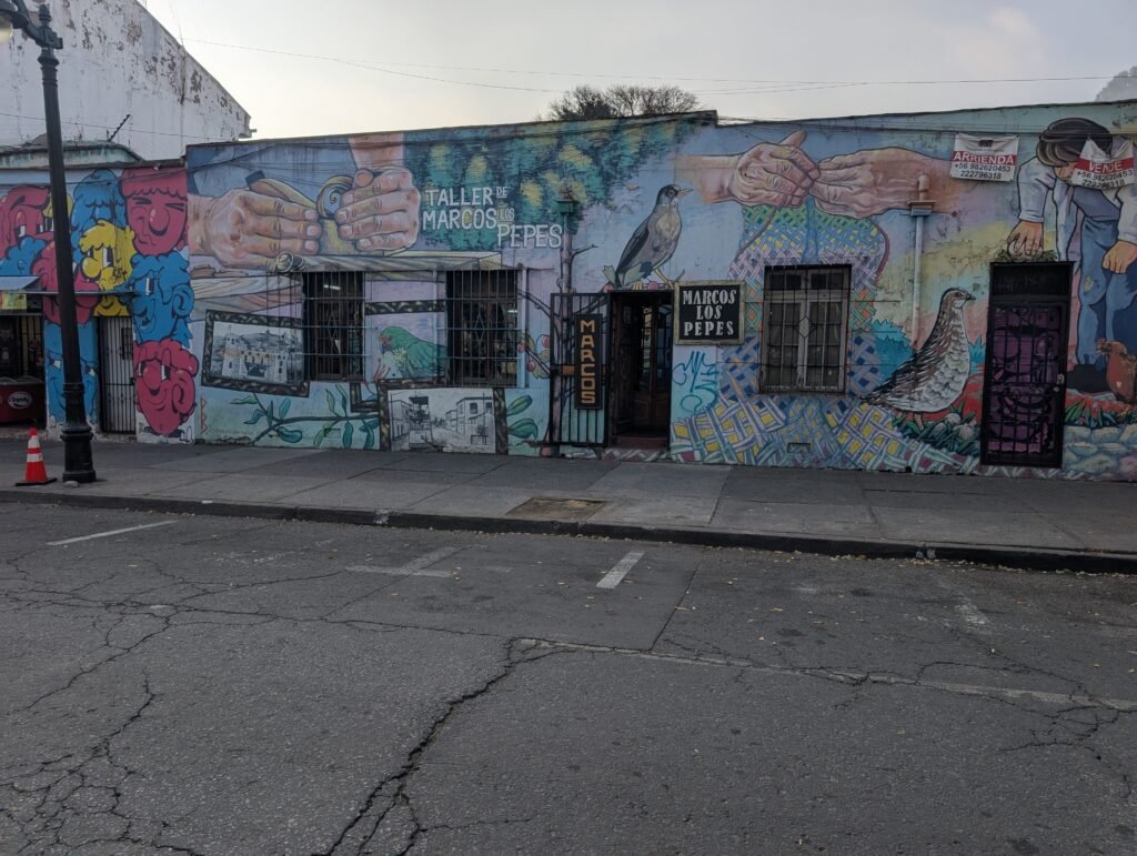 Street-Art oiseaux Santiago