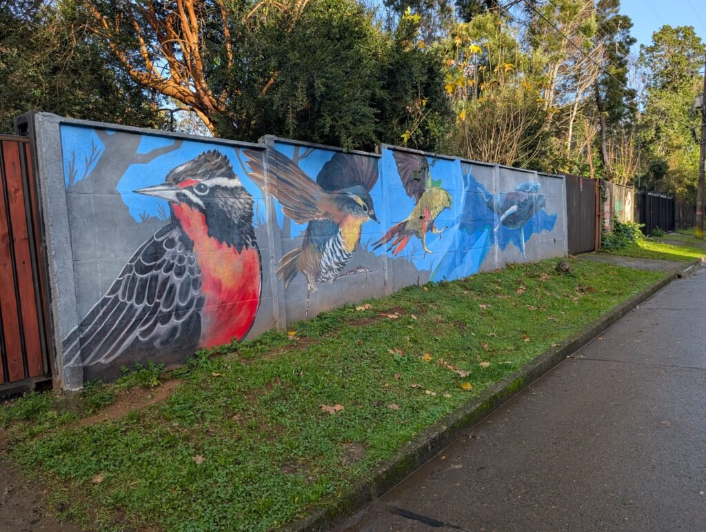 Parc Saval Valdivia