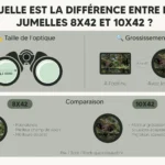 Comparaison jumelles 8X42 et 10X42