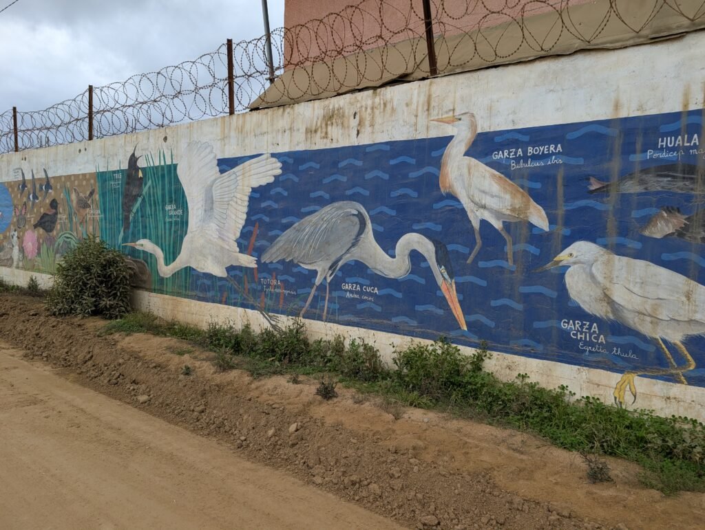 Street-Art Oiseaux Cartagena 3