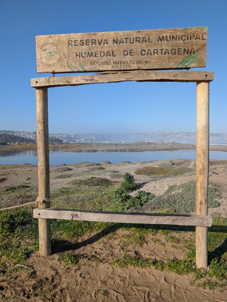 Humedal de Cartagena
