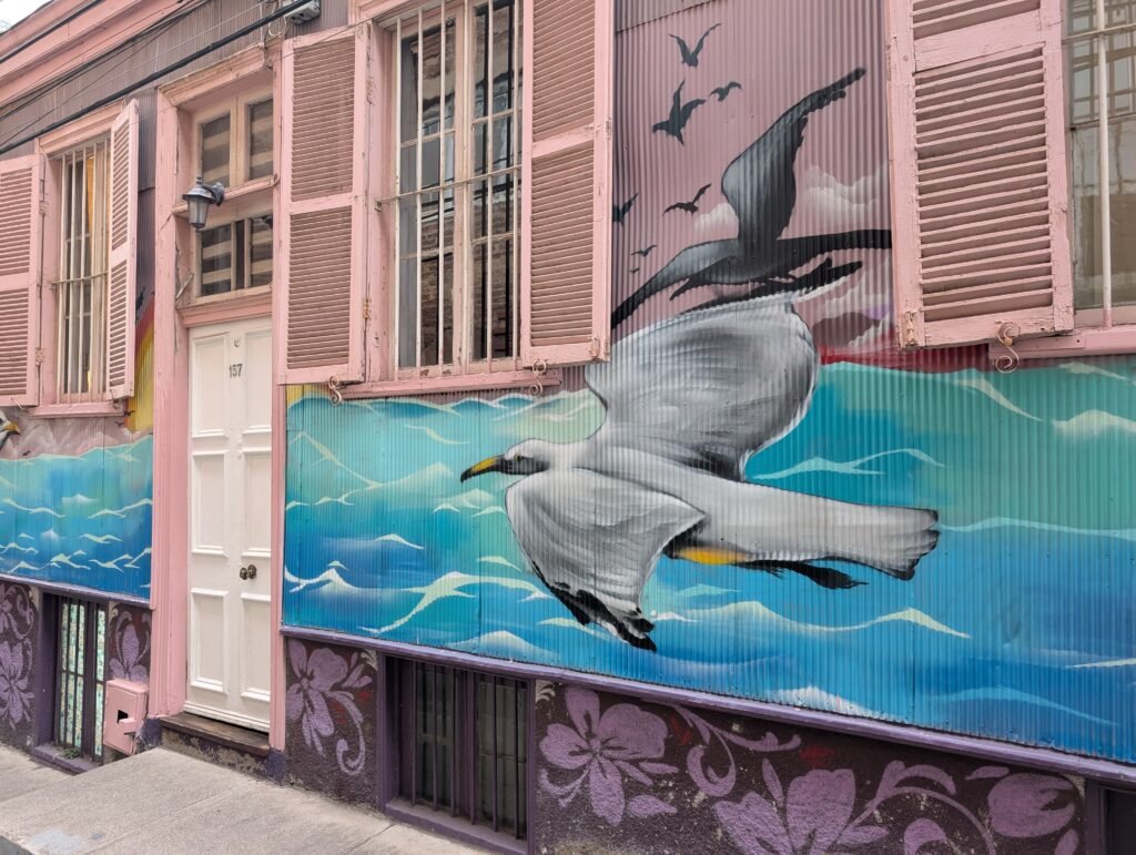 Street-Art Oiseaux Valparaiso