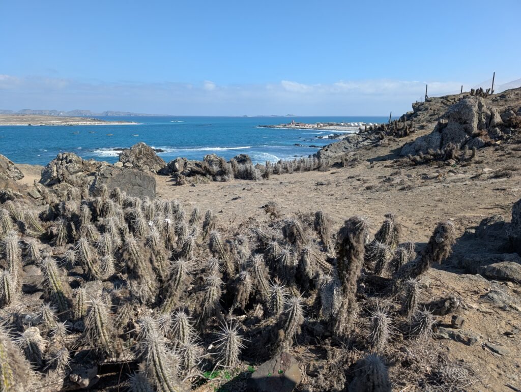 Punta de Choros