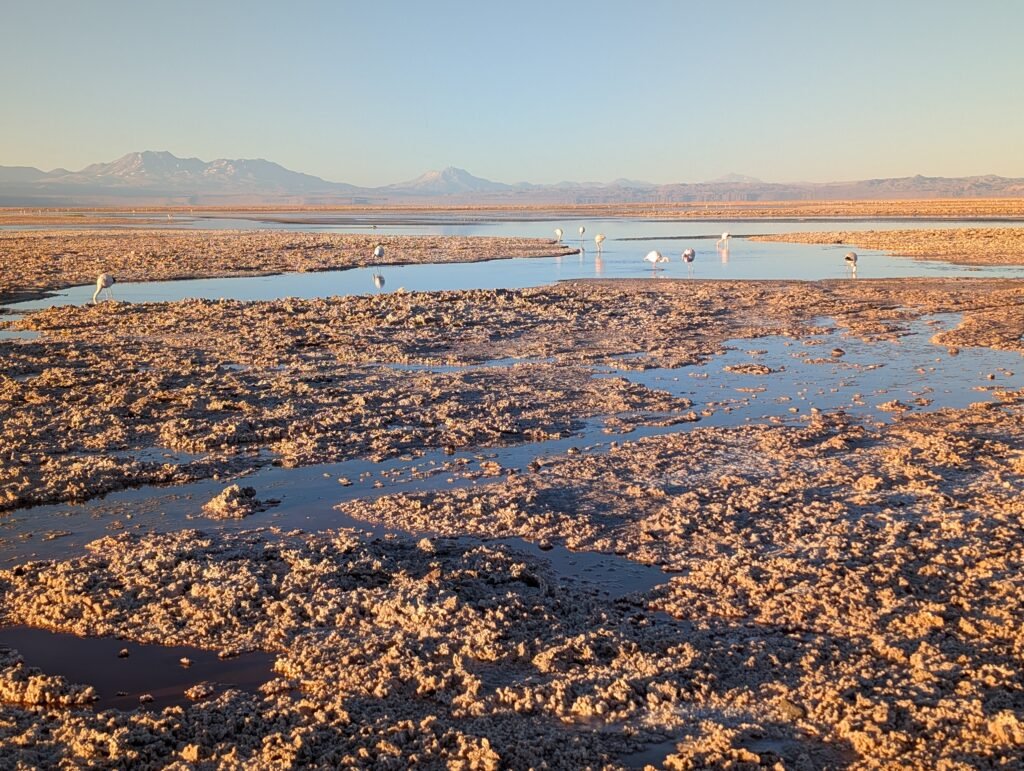 Laguna Chaxa